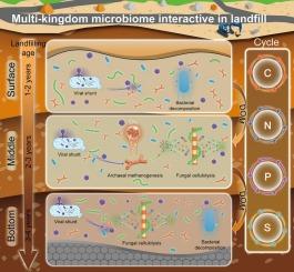 Spatiotemporal dynamics of multi-kingdom microbiome interactions drive CNPS cycling in landfills