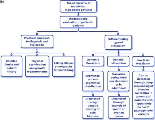 Diagnostic Workup of Mosaicism in Children