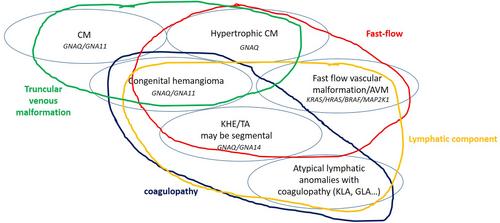 Mosaicism of Vascular Origin