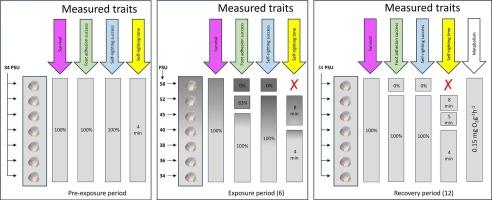 Effects of brine discharges on early benthic stages of Concholepas concholepas