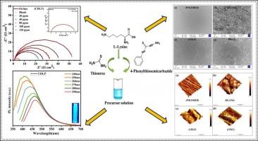 Synthesis of novel carbon dots as efficient green corrosion inhibitor for mild steel in an acidic environment: Electrochemical, gravimetric, and XPS analysis
