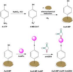 Determination of zearalenone on aptamer-based electrochemical nanofilm using quartz crystal microbalance