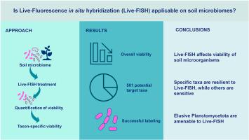 Applicability of live-fluorescence in situ hybridization (Live-FISH) on soil microbiomes