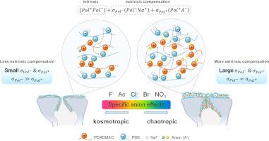 Hofmeister effect of anions on the layer-by-layer nanofiltration membranes: Assembly kinetics and micropollutant removal