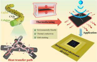 Bio-composites with efficient heat dissipation and excellent EMI shielding by constructing bamboo fiber/MWCNT dual network structure