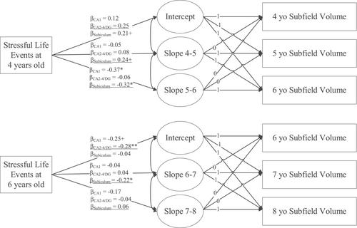 Associations Between Experience of Typical Variations in Stressors and Hippocampal Structure and Functional Connectivity in Childhood