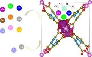 MOF-303 as a multifunctional host: DFT analysis of metal binding and gas storage potential