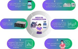 Non-invasive detection of protein aggregation in biopharmaceuticals using TD-NMR and MRI