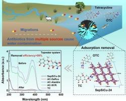 Controlled epitaxial synthesis of copper silicate nanotube clusters featuring multiple active sites for superior antibiotic removal