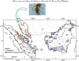 Distribution and nest occupancy patterns of Oecophylla smaragdina (hymenoptera: formicidae) colonies in Southeast Asian oil palm plantations