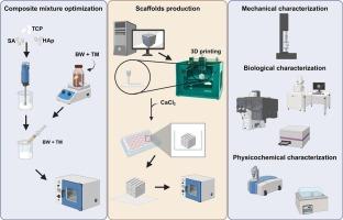 Beeswax-enriched tricalcium phosphate/hydroxyapatite/sodium alginate/thymol 3D-printed scaffolds for application in bone tissue engineering