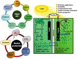 Algae-driven bioelectrochemical systems: Recent advances, applications, and prospects