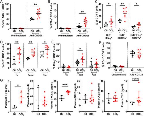 CD8 T Cell Hyperfunction and Reduced Tumour Control in Murine Models of Advanced Liver Disease