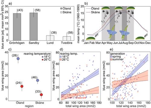 Thermal Plasticity in a Cross-Sexual Transfer Trait: Geographic Variation and Phenotypic Integration of Blue Wing Colour in Female Butterflies