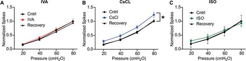 Pharmacological Targeting of Hyperpolarization-Activated Cyclic Nucleotide-Gated Cation Channels on Bladder Afferent Sensory Transmission