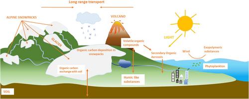 Sugars in Snow, Their Sources, and Fate Related to Microbial Metabolism: A Review