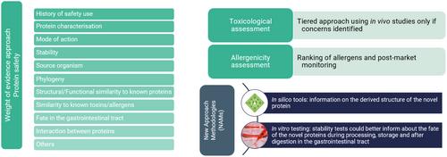 Current practice, challenges and future opportunities in the safety assessment of newly expressed proteins in genetically modified plants