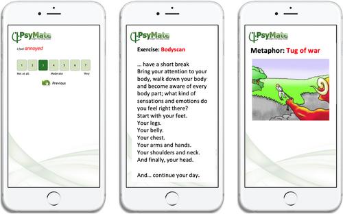 Perspectives of Patients With Early Psychosis on the Use of an App in Acceptance and Commitment Therapy: A Qualitative Study
