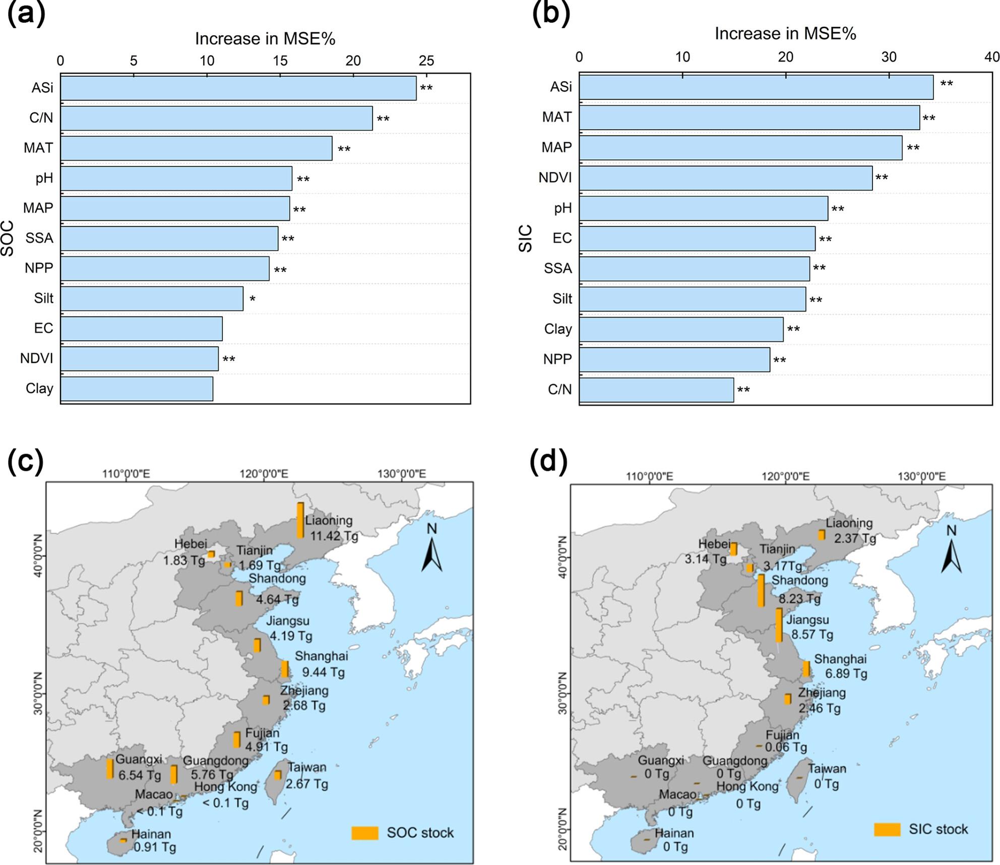 Assessment of Soil Organic and Inorganic Carbon Stocks in Coastal Salt Marshes of China: Key Mechanisms Elucidated