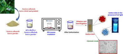 Microwave-Assisted Synthesis of Carbon Dots from Justicia adhatoda Leaves: Evaluation of their Antimicrobial and Cytotoxic Activities