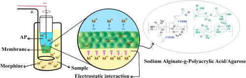 A green approach for electromembrane extraction of morphine from urine using sodium alginate-g-polyacrylic acid/agarose hydrogel membrane