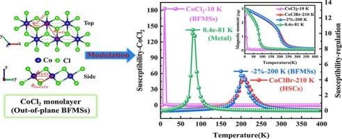 Controllable ferromagnetism in CoCl2 monolayer: Intrinsic bipolar ferromagnetic semiconductor
