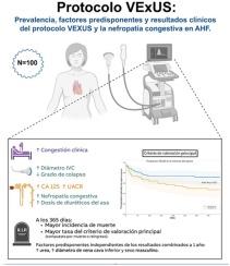 Análisis multimodal de la congestión y utilidad pronóstica del protocolo VExUS en pacientes hospitalizados por insuficiencia cardiaca en un hospital terciario