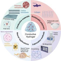 Sustainable hydrogels as conductive platforms for neural applications