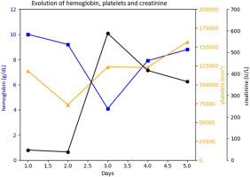 Placental abruption and premature birth following a Bothrops atrox envenomation in the Brazilian Amazon