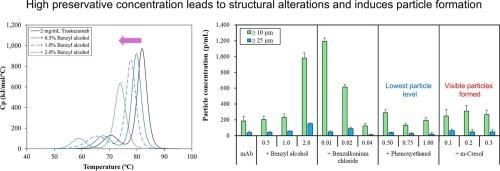 Effects of antimicrobial preservatives on protein folding stability and subvisible particle formation in monoclonal antibody trastuzumab