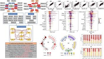 Rainfall-dependent influence of water parameter interactions and land use on lake water quality: A hybrid ensemble approach and management implications