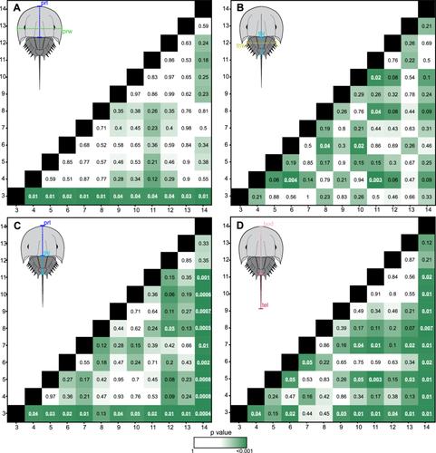 Allometric Changes Across Horseshoe Crab Moults Evidence Developmentally Controlled Ecological Shifts and Possible Exoskeletal Modularity