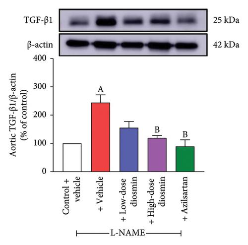 Diosmin Prevents L-NAME-Induced Vascular Dysfunction and Remodeling in Rats via Suppressing the TGF-β1 Downstream Signaling Pathway