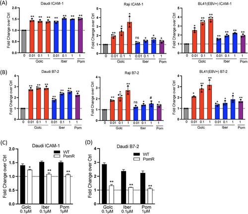 Novel Cereblon-Binding Immunomodulators Have Increased Potency Against Gammaherpesvirus- Associated Lymphomas In Vitro