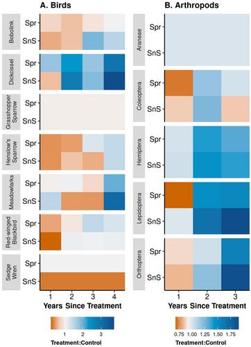 Bird and arthropod response to herbicide and grazing: Trade-offs and time lags in invasive plant management