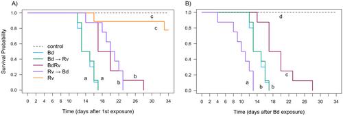Impacts of sequential and simultaneous coinfection by major amphibian pathogens on disease outcomes