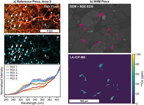 Mineralogical and Chemical Mapping of Martian Meteorite SaU 008 Using Deep UV Raman and Fluorescence Spectroscopy on Earth and Mars
