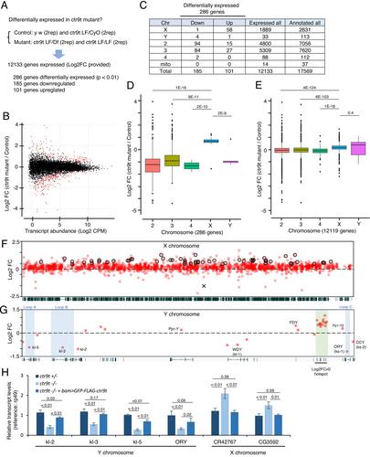 Paralog-Dependent Specialization of Paf1C Subunit, Ctr9, for Sex Chromosome Gene Regulation and Male Germline Differentiation in Drosophila