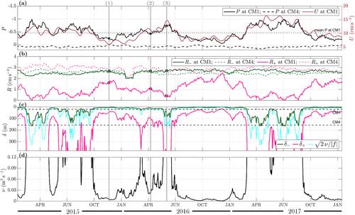 Basal Melt Rate Variability and Tidal Current Vertical Structure From Observations Beneath Ronne Ice Shelf, Antarctica