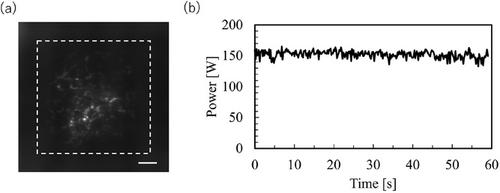 Demonstration of 15% Efficient Optical Wireless Power Transmission Over 1 km With Atmospheric Turbulence