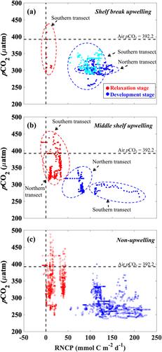 Net Community Production Variability in Response to Changing Upwelling Intensity Before and After a Typhoon in the Southern East China Sea