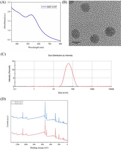 Cytotoxic Potential of Biogenic Gold Nanoparticles Functionalized With Brazilian Red Propolis in Prostate Cancer Cell Models