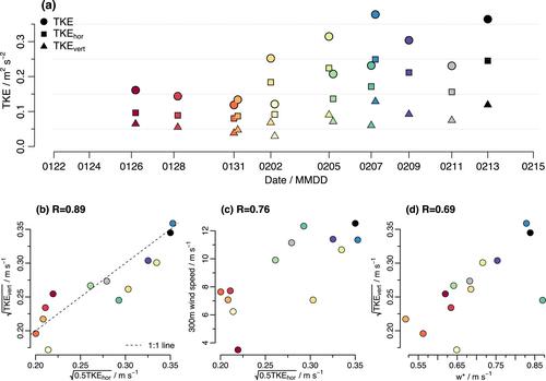 Do Observations Support Ideas Behind Common Mass Flux Closures?