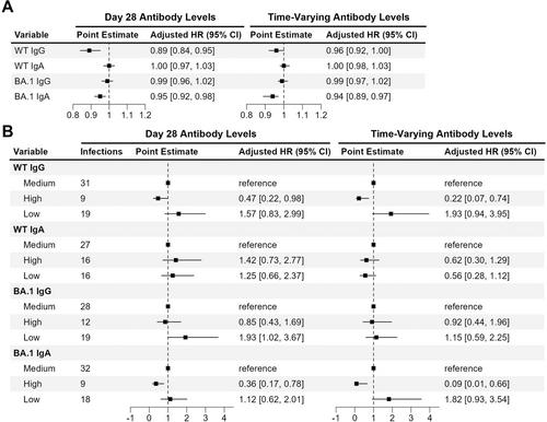 Modeling Antibody Kinetics Post-mRNA Booster Vaccination and Protection Durations Against SARS-CoV-2 Infection