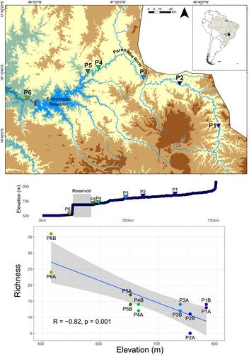 Low-Effort eDNA Sampling Reveals Fish Community Patterns in a Neotropical River Basin
