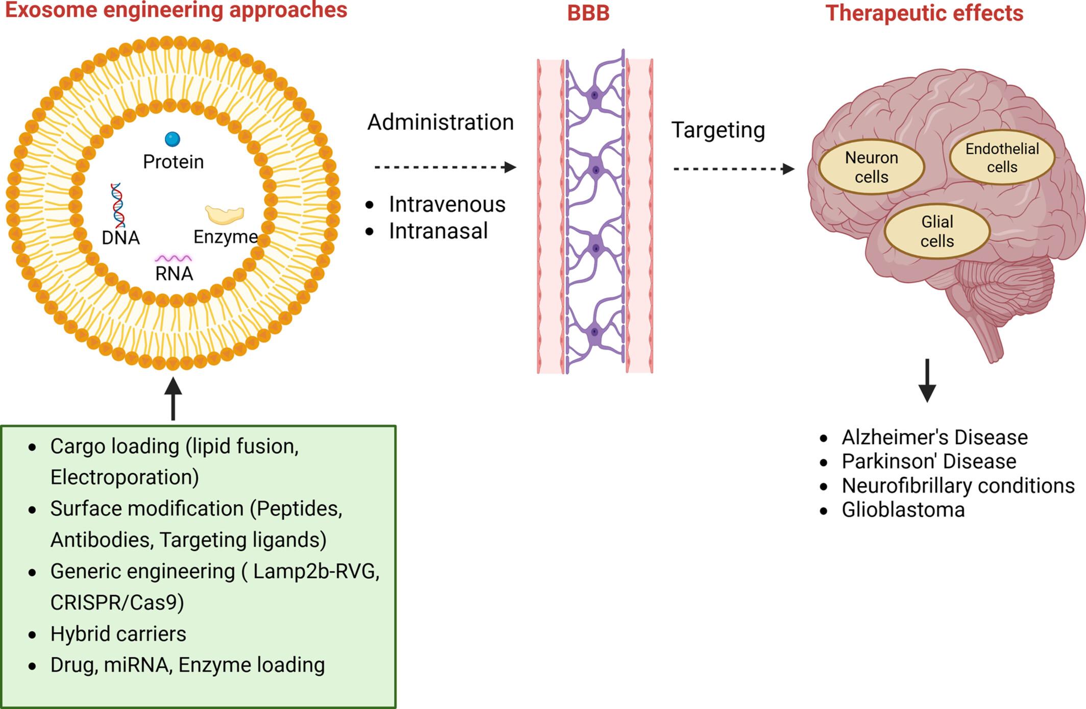 Exosomes as a Nanotheranostic Platform in Brain Diseases