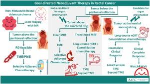 Goal-directed neoadjuvant therapy: What should we offer in each case?