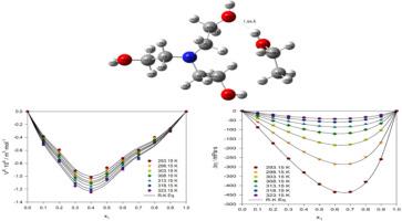 Experimental and computational (DFT) study of a binary system of triethanolamine and ethanol at temperatures from 293.15 to 323.15 K under 101.3 kPa