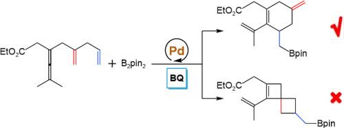 Insights into mechanism and selectivity in palladium-catalyzed oxidative carbocyclization-borylation of enallenes via olefin assistance