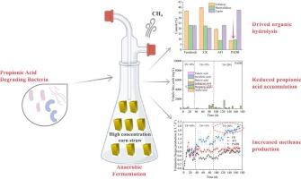 Enhancement of methanogenic performance of anaerobic fermentation systems by propionic acid-degrading bacteria at high straw organic loads